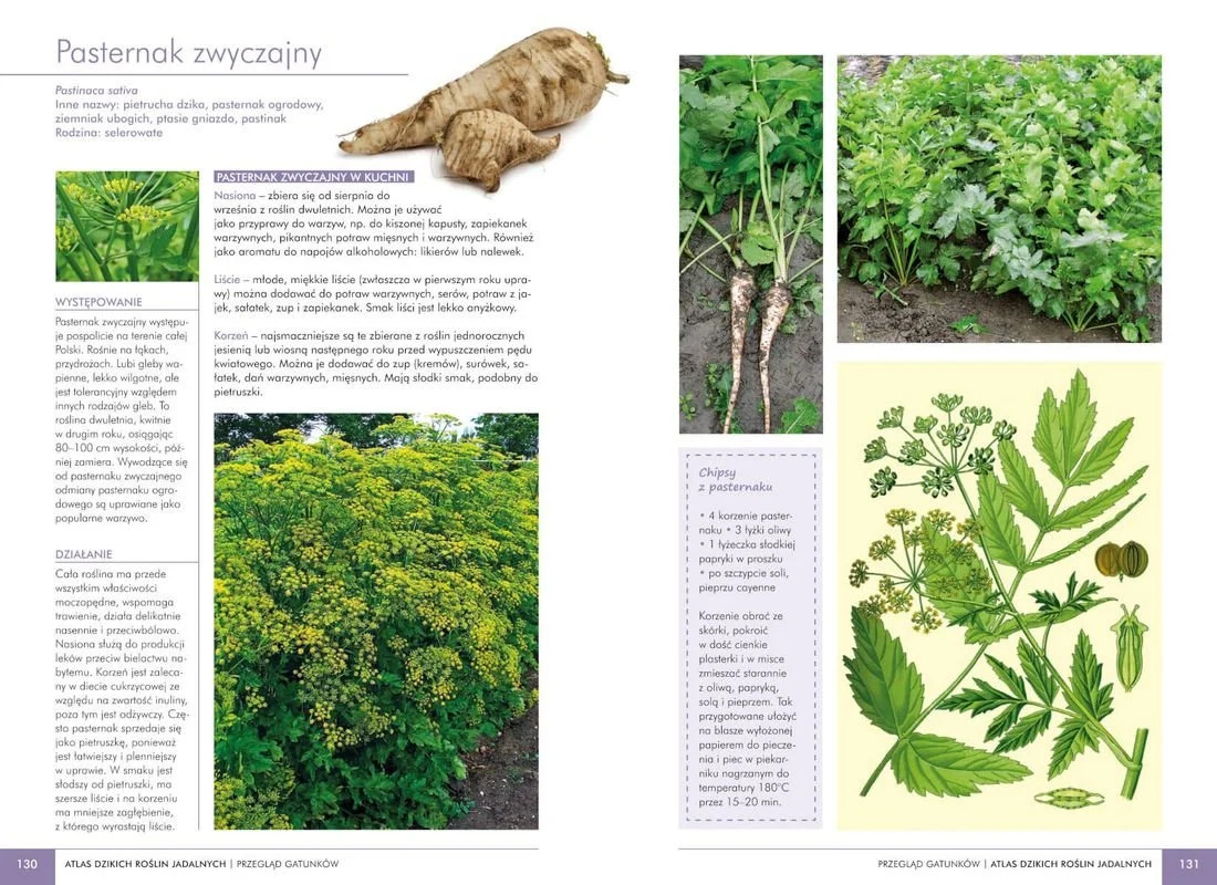 16969560993420430-jpg-gallery.big-iext138226790 (5)