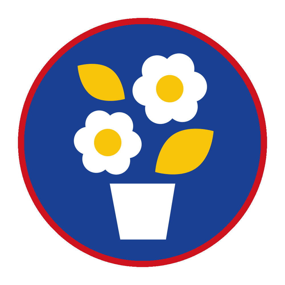 Sprawnosc-Harcerska-ZHP-SIM—Florysta-1