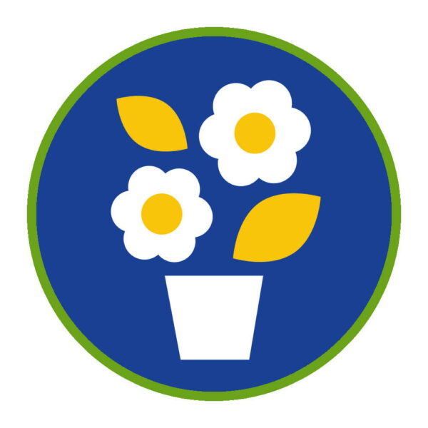 Sprawnosc-Harcerska-ZHP-SIM—Florysta-2