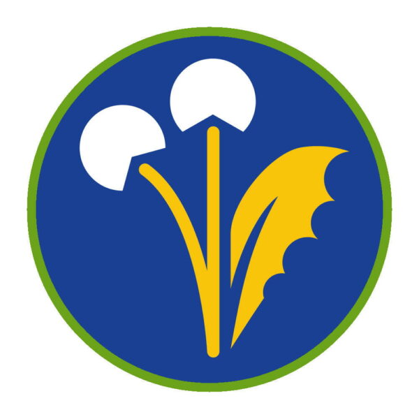 Sprawnosc-Harcerska-ZHP-SIM—Zielarz-1