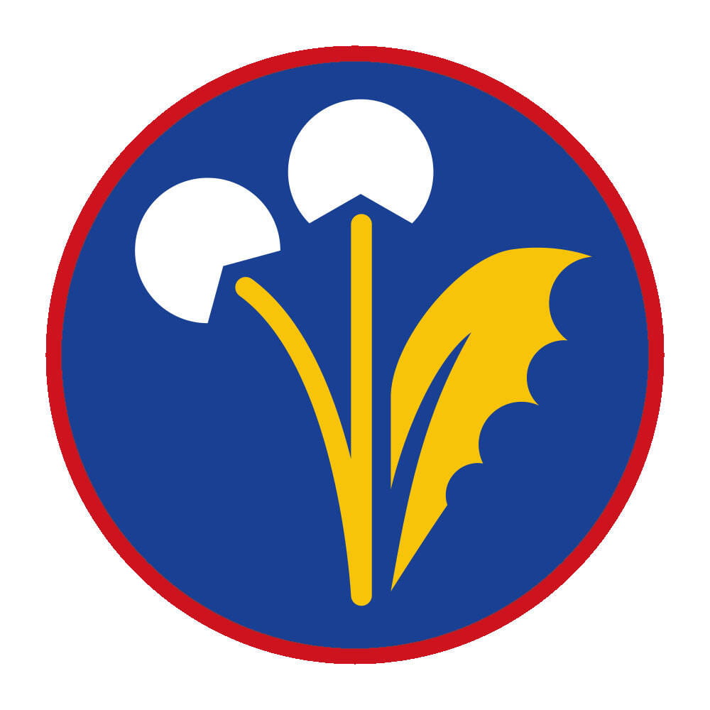 Sprawnosc-Harcerska-ZHP-SIM—Zielarz-2