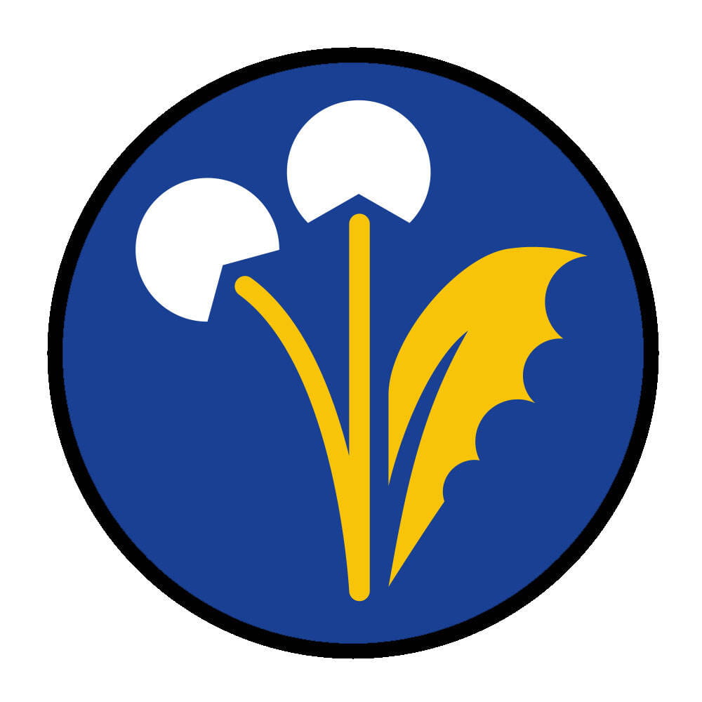 Sprawnosc-Harcerska-ZHP-SIM—Zielarz-3