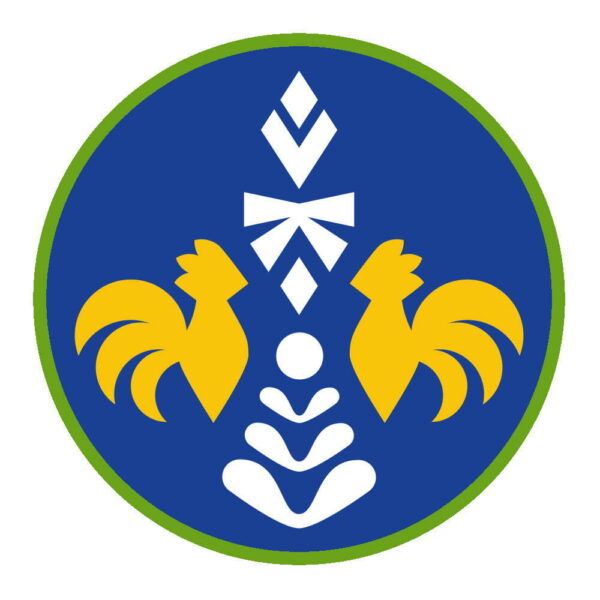 Sprawnosc-Harcerska-ZHP-SIM—Etnograf-3