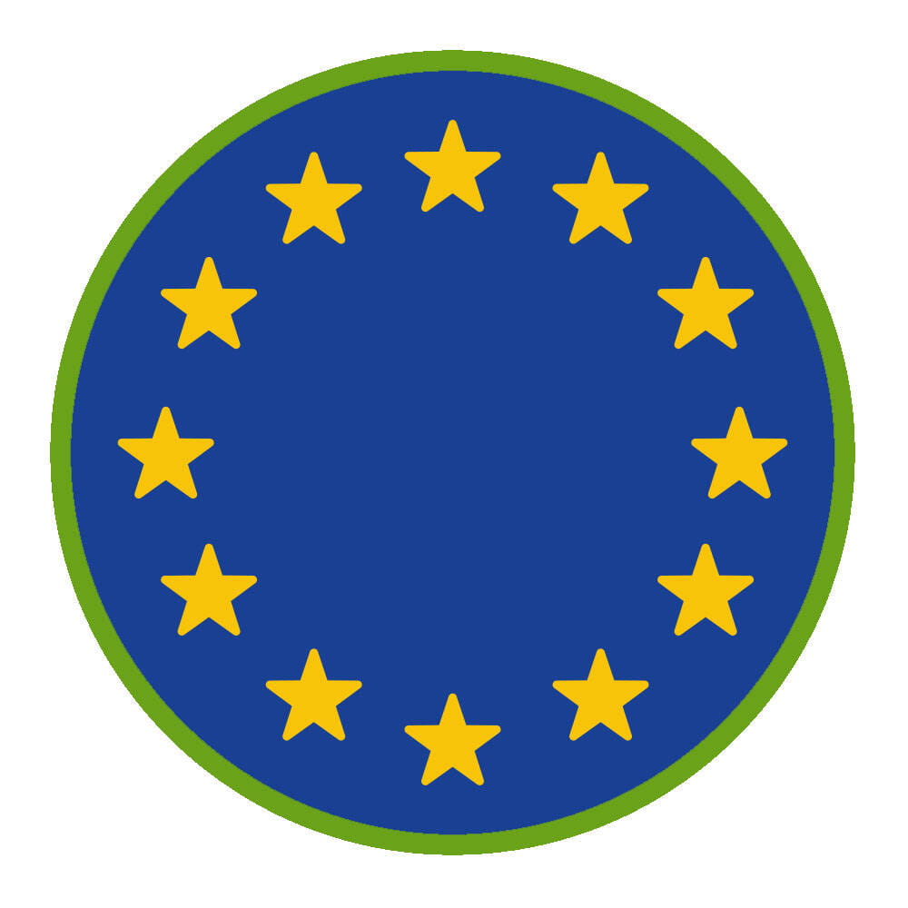 Sprawnosc-Harcerska-ZHP-SIM—Europejczyk-3