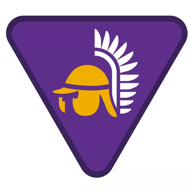 large_tropy-zuchowe-harcownicy-harcowniczki-krola-jana-zhp-reforma-sim-system-identyfikacji-metodycz